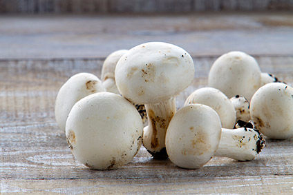 Greenyards acquisition should strengthen its position in the mushroom market